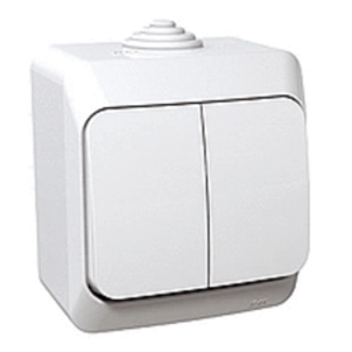  WDE000550 WDE000550 Cedar Plus - dupli jednopolni prekidač - 16AX, beli Cedar Plus, dupli jednopolni prekidač, 16AX, beli. tip proizvoda ili komponente: prekidač - signalna lampica: bez signalne lampice.